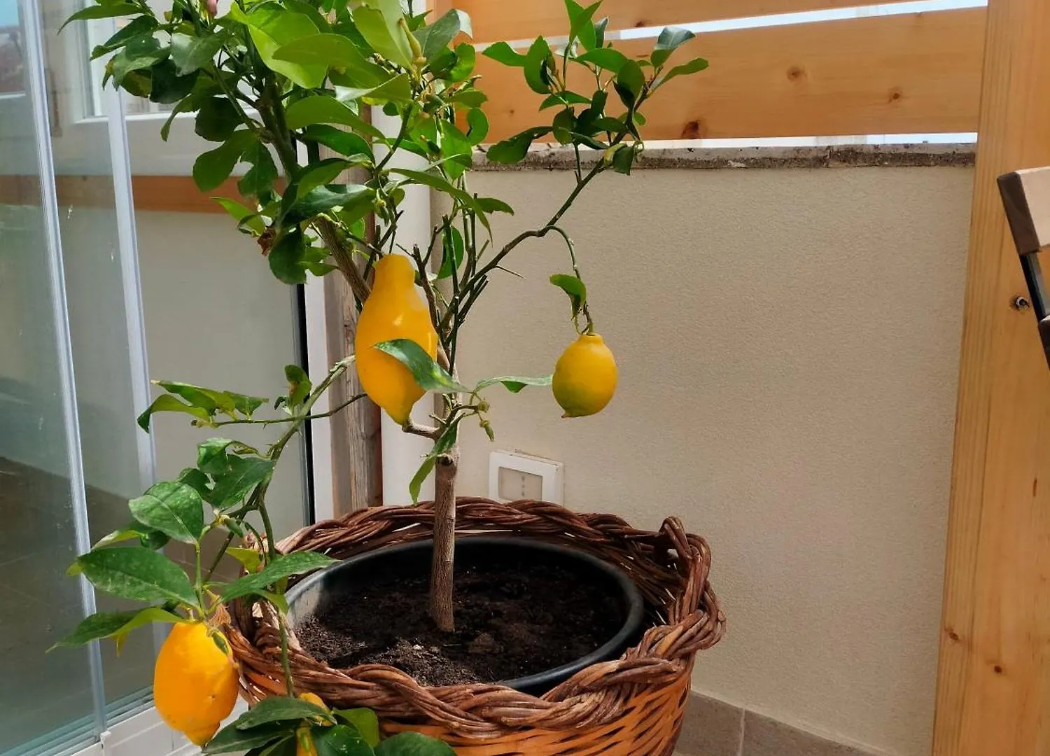 Vicol8Netino Bed & Breakfast Noto